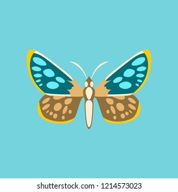 Colorful icon of butterfly isolated on blue