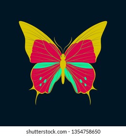 Colorful icon of butterfly isolated on dark blue