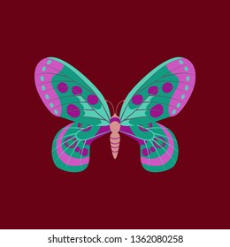 Colorful icon of butterfly isolated on red