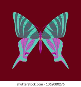 Colorful icon of butterfly isolated on red