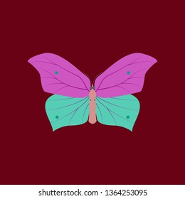 Colorful icon of butterfly isolated on red