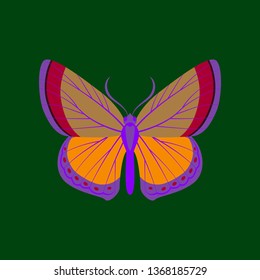 Colorful icon of butterfly isolated on green