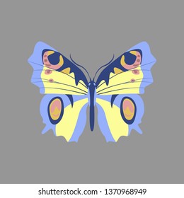 Colorful icon of butterfly isolated on gray