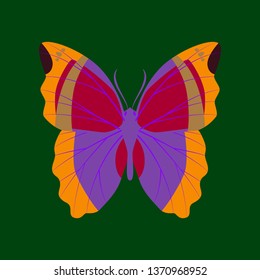Colorful icon of butterfly isolated on green
