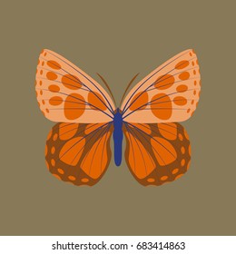 Colorful icon of butterfly isolated on brown