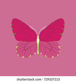 Colorful icon of butterfly isolated on pink