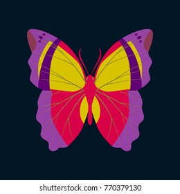 Colorful icon of butterfly isolated on dark blue