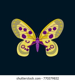 Colorful icon of butterfly isolated on dark blue