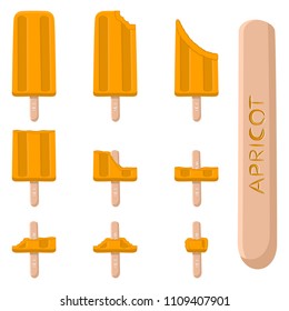 Colorful icon logo natural apricot ice cream sorbet in different forms. Apricot pattern consisting of sweet cold ice cream sorbet, tasty frozen dessert. Fresh taste fruit ice cream sorbet of apricot.