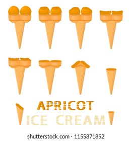 Colorful icon for natural apricot ice cream sorbet in different forms. Apricot pattern consisting of sweet cold ice cream sorbet, tasty frozen dessert. Fresh taste fruit ice cream sorbet of apricot.