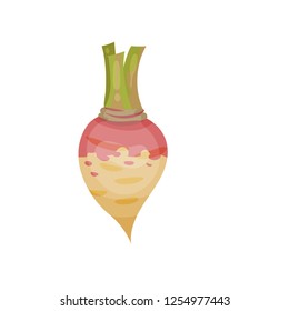 Colorful icon of ripe rutabaga or swede. Fresh vegetable. Organic product. Natural product. Edible plant. Food and nature theme.