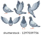 Colorful Icon set of Pigeon bird flying and sitting. Flat cartoon character design. Colorful bird icon. Cute pigeon template. Vector illustration isolated on white background.