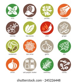 Colorful icon set - spices, condiments and herbs 