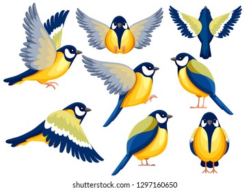 Colorful Icon set of Titmouse bird . Flat cartoon character design. Bird icon in different side of view. Cute titmouse template. Vector illustration isolated on white background.