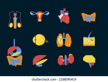 Colorful icons of human internal organs in geometric style on the dark background. Concept anatomy illustrations build by abstract shapes for brand, ads, background, packaging, ads..
