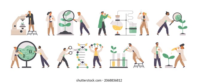 Colorful icons set with biochemical science laboratory staff performing various experiments. Scientists study plants, carry out analysis with equipment. Chemists analyse cells, plant structure