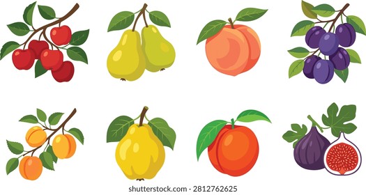 Colorful illustrated collection featuring assorted orchard fruits with fresh green leaves and branches. Ideal for food packaging, farmers market branding, juice labels, menus, healthy lifestyle graphics, and botanical designs.
