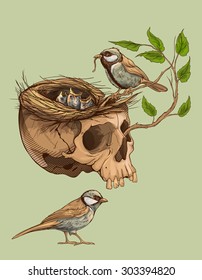 Colorful Illustration Of Birds Making A Nest In Animal Skull