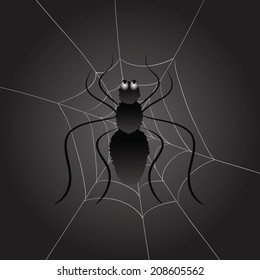 colorful illustration with black spider on a dark background  for your design