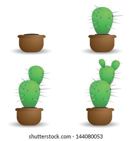 colorful illustration with cactus for your design