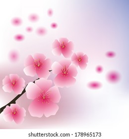 colorful illustration with cherry flowers  for your design