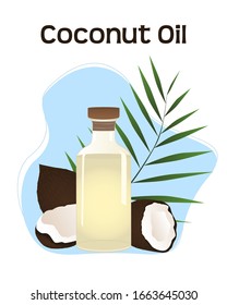 Colorful illustration of clear coconut oil bottle with palm leaf and coconuts around. Can be used in product advertising and package design. Vector illustration isolated on white background.