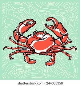 Colorful illustration of crab 1