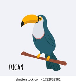 Colorful illustration of a cute toucan sitting on branch. Vector