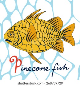 A colorful illustration of exotic pinecone fish in vector format