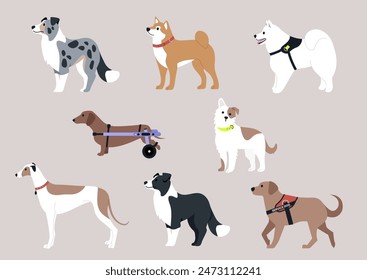 A colorful illustration featuring eight diverse dog breeds, including a border collie, a dachshund, a greyhound, a shiba inu, and a service dog