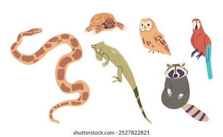 Ilustração Colorida Com Animais Selvagens Exóticos E Animais De Estimação, Incluindo Uma Cobra, Tartaruga, Coruja, Papagaio, Iguana E Guaxinim