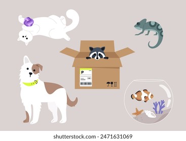 A colorful illustration featuring a variety of domestic pets including a cat playing with a ball, a dog wearing a collar, a raccoon peeking out of a box, a chameleon, and a fish in a bowl.