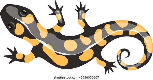 Colorful illustration of a fire salamander lying down, showcasing its vibrant yellow spots or stripes on a black background, highlighting the amphibian s unique pattern