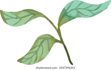 colorful illustration of flower petals and leaves clip art for background, wallpaper design