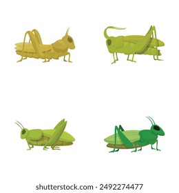 Colorful illustration of four cartoon grasshoppers on a white background, suitable for educational and creative projects