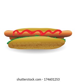 colorful illustration with fresh hot dog  for your design