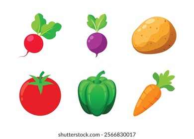 Colorful Illustration of Fresh Vegetables on White Background