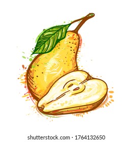 Colorful illustration of fruit pear