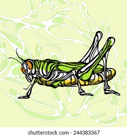 Colorful illustration of grasshopper 1