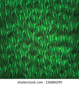 colorful illustration with  green grass for your design
