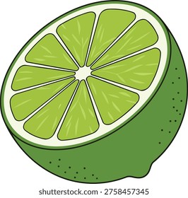 A colorful illustration of a half lime, showcasing its juicy segments and vibrant green peel. Perfect for designs related to food, beverages, or healthy living.