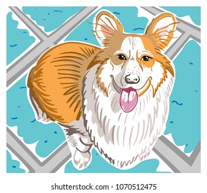 Colorful illustration with hand-drawn cute and smiling white-red Pembroke Welsh Corgi dog on a blue-gray tile or carpet