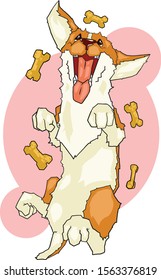Colorful illustration of happy corgi with flying dog food
