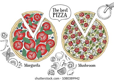 Colorful illustration of Italian Pizza. Hand drawn vector illustration.