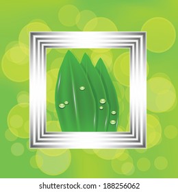 colorful illustration with leaves in a white frame for your design