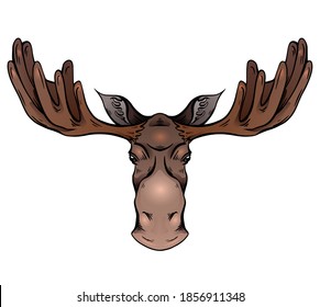 Colorful illustration of a moose head with antlers front view. Wild mammal. Vector color sketch for logos, icons, postcards and your designs.