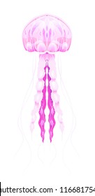 Colorful illustration of neon jellyfish. The object is separate from the background. Illustration for printing on T-shirts, covers, sketches of tattoos and your design.