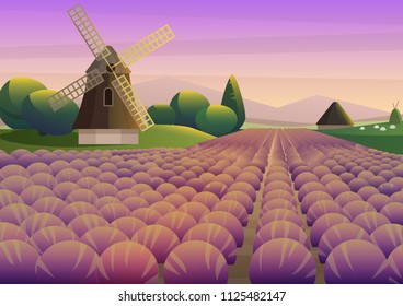 Colorful illustration with purple lavender field with old windmill on background of sunset sky.