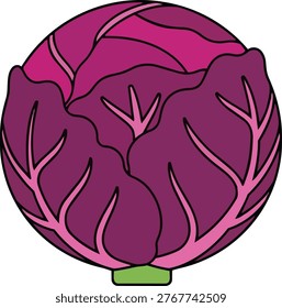 A colorful illustration of a red cabbage, showcasing its layered leaves and prominent vein structure. The image features a round shape and a small green stem.