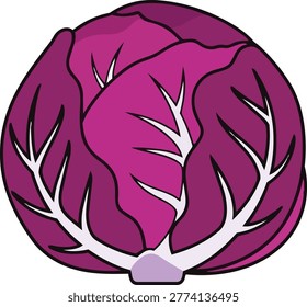 A colorful illustration of a red cabbage, showcasing its layered leaves and prominent white veins, set against a clean background.
